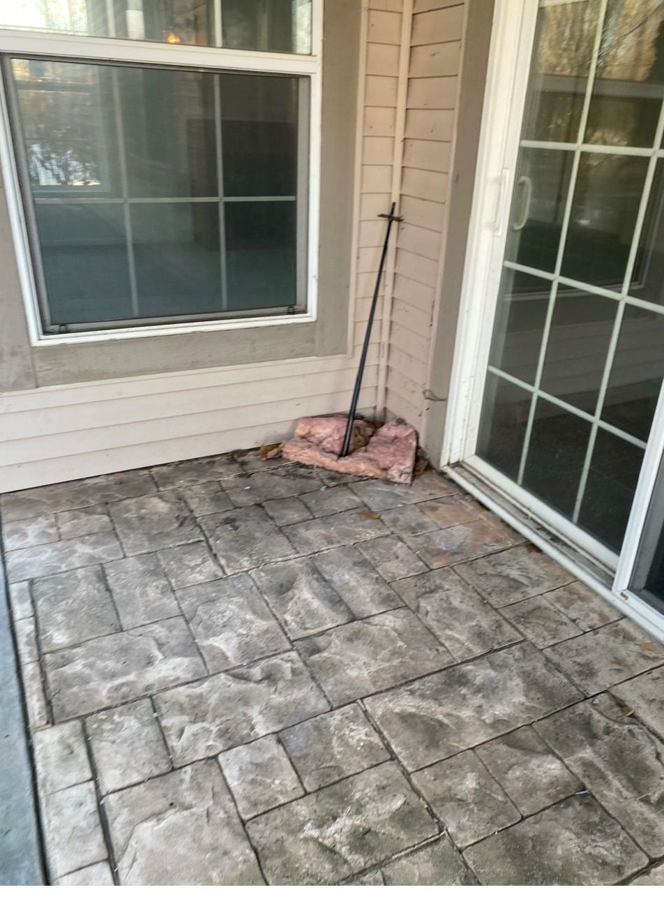 Rear patio before — cracked and failing stamped concrete
